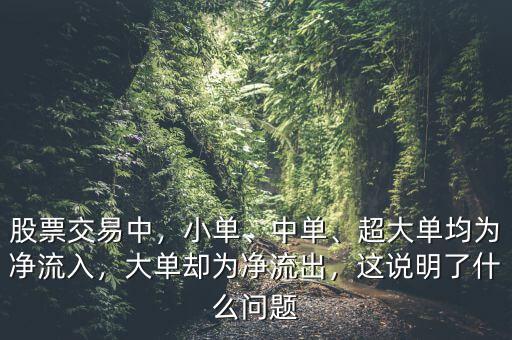 股票交易中，小單、中單、超大單均為凈流入，大單卻為凈流出，這說明了什么問題