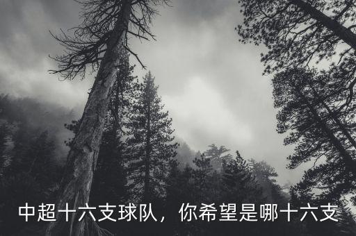 中超十六支球隊，你希望是哪十六支