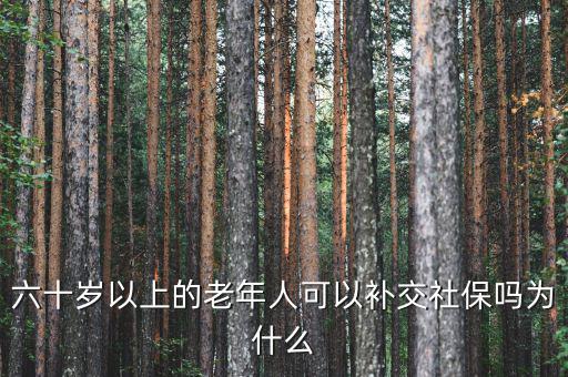 老人怎么補交社保,62歲怎樣補交社保