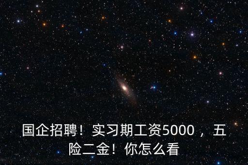 國企招聘！實習(xí)期工資5000 ，五險二金！你怎么看