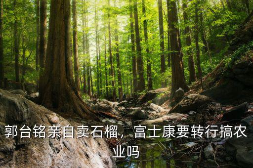 郭臺銘親自賣石榴，富士康要轉(zhuǎn)行搞農(nóng)業(yè)嗎