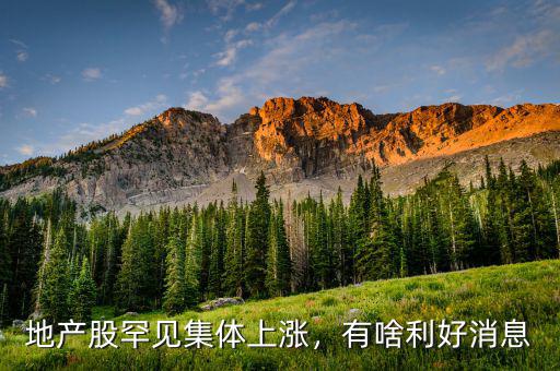 地產(chǎn)股罕見集體上漲，有啥利好消息