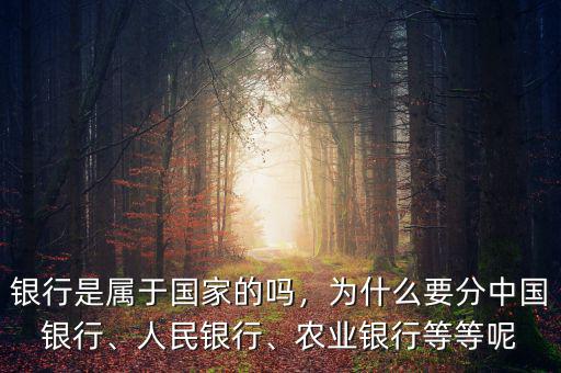 民資為什么銀行,比如說微眾銀行網(wǎng)上銀行