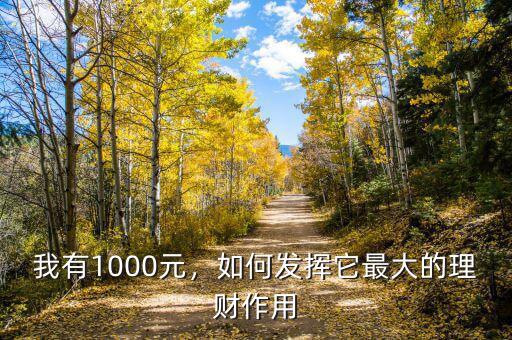 我有1000元，如何發(fā)揮它最大的理財(cái)作用