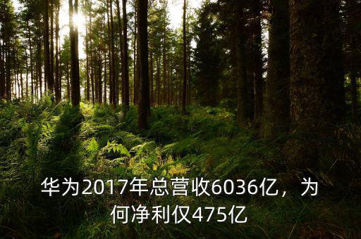 華為2017年總營(yíng)收6036億，為何凈利僅475億