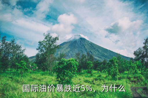 國際油價暴跌近5%，為什么