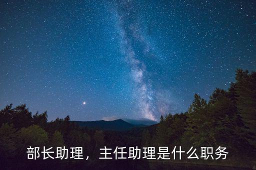 部長助理，主任助理是什么職務(wù)