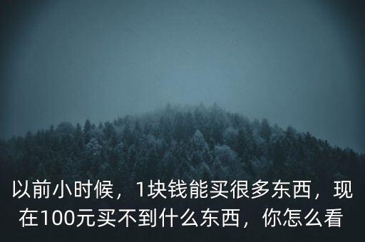 以前小時候，1塊錢能買很多東西，現(xiàn)在100元買不到什么東西，你怎么看