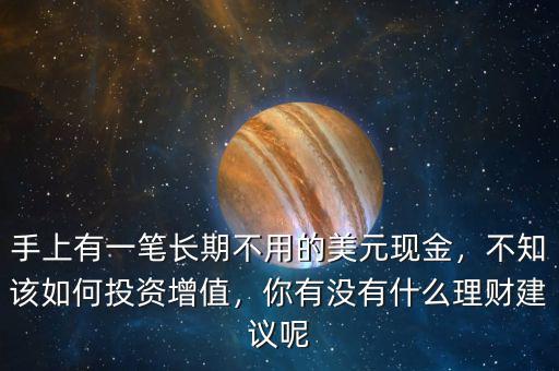 手上有一筆長期不用的美元現(xiàn)金，不知該如何投資增值，你有沒有什么理財建議呢