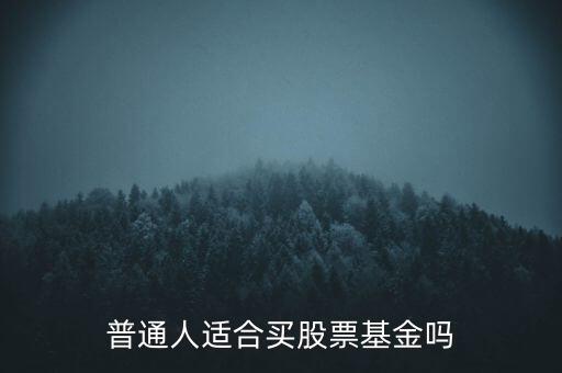 個(gè)人都可以買什么股票,文化比較低的人可以買股票嗎