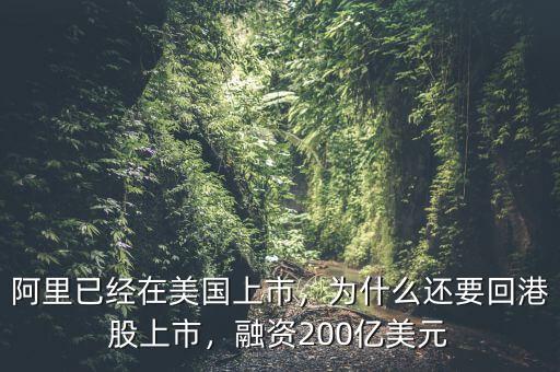 阿里已經(jīng)在美國上市，為什么還要回港股上市，融資200億美元