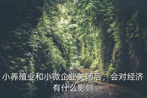 小養(yǎng)殖業(yè)和小微企業(yè)關(guān)閉后，會(huì)對(duì)經(jīng)濟(jì)有什么影響