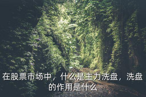 在股票市場(chǎng)中，什么是主力洗盤，洗盤的作用是什么