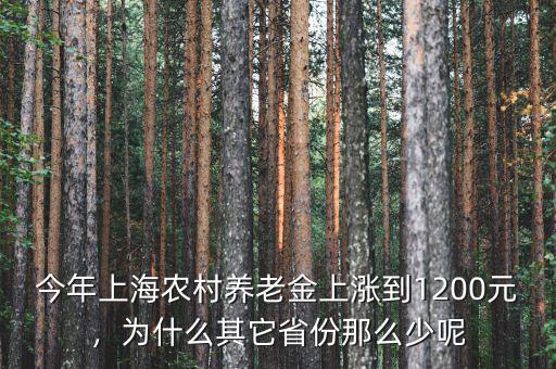 今年上海農(nóng)村養(yǎng)老金上漲到1200元，為什么其它省份那么少呢