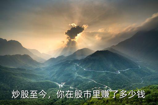 炒股至今，你在股市里賺了多少錢