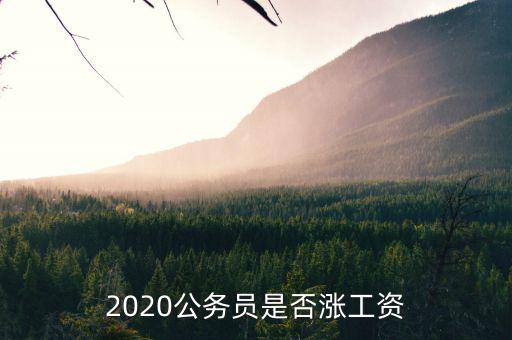 2020公務員是否漲工資