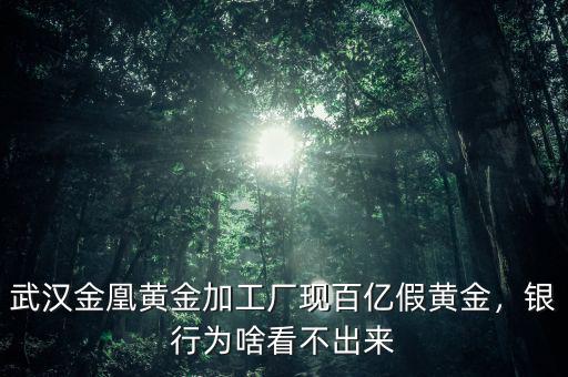 武漢金凰黃金加工廠現(xiàn)百億假黃金，銀行為啥看不出來(lái)