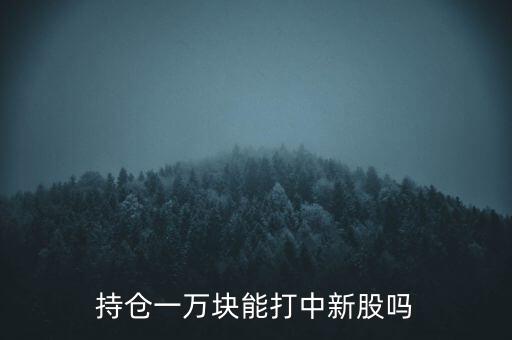 持倉一萬塊能打中新股嗎