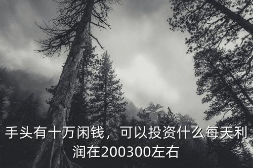 手頭有十萬閑錢，可以投資什么每天利潤在200300左右