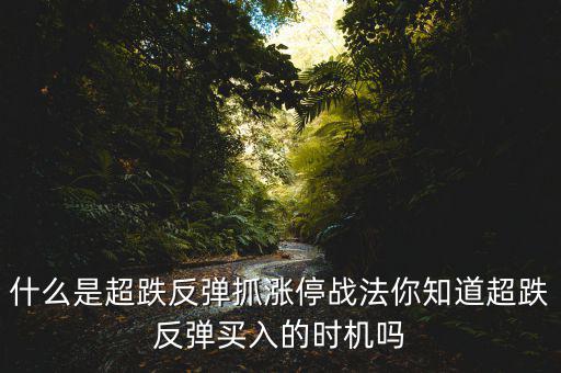 什么是超跌反彈抓漲停戰(zhàn)法你知道超跌反彈買入的時機嗎