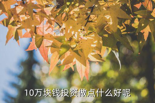 10萬塊錢投資什么,10萬塊做什么投資比較好