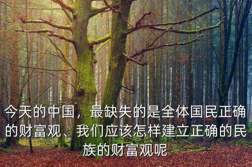 今天的中國，最缺失的是全體國民正確的財(cái)富觀、我們應(yīng)該怎樣建立正確的民族的財(cái)富觀呢