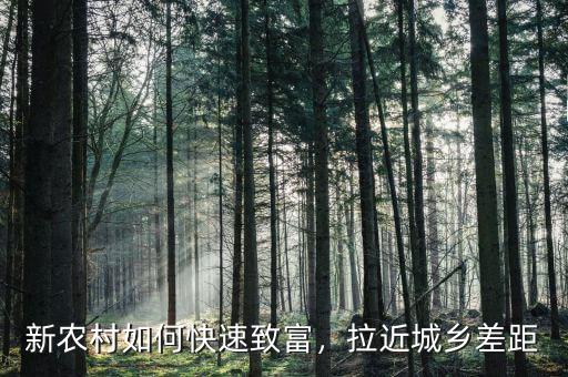 新農(nóng)村如何快速致富，拉近城鄉(xiāng)差距