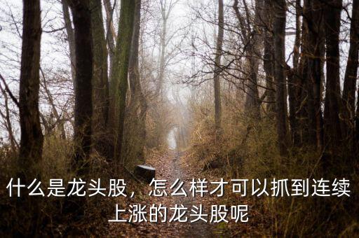 什么是龍頭股，怎么樣才可以抓到連續(xù)上漲的龍頭股呢