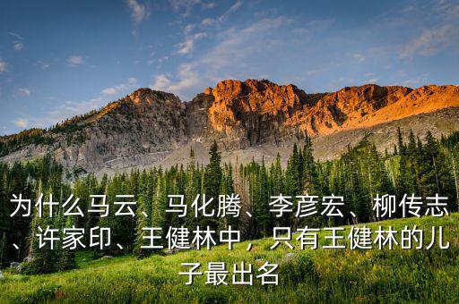 為什么馬云、馬化騰、李彥宏、柳傳志、許家印、王健林中，只有王健林的兒子最出名