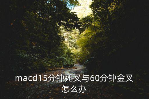 15分鐘的金叉死叉怎么看,15分鐘金叉又該如何操作呢