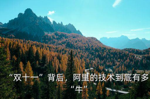 “雙十一”背后，阿里的技術(shù)到底有多“?！? class=