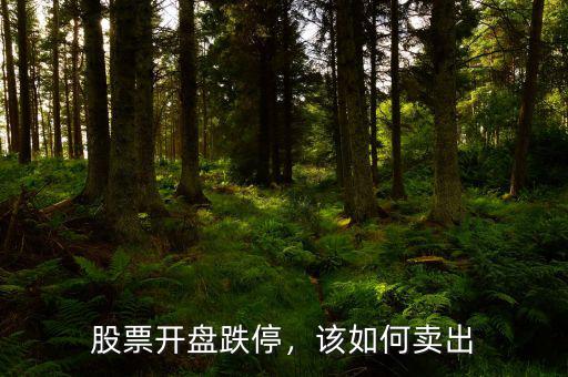 股票開盤跌停，該如何賣出