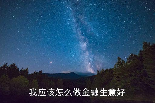 我應(yīng)該怎么做金融生意好