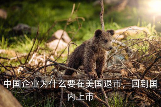 中國企業(yè)為什么要在美國退市，回到國內(nèi)上市