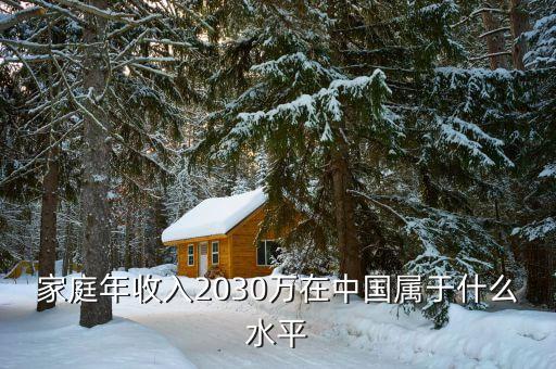 家庭年收入2030萬在中國屬于什么水平