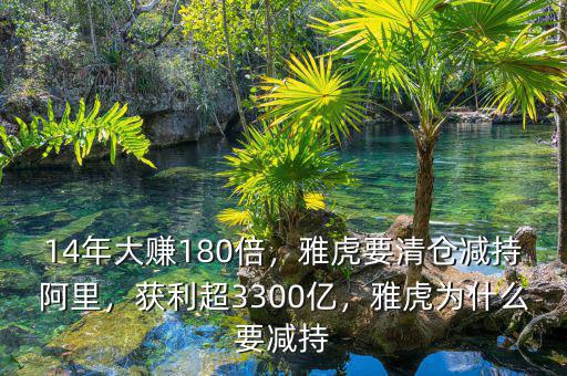 14年大賺180倍，雅虎要清倉(cāng)減持阿里，獲利超3300億，雅虎為什么要減持