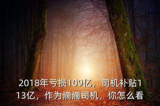 2018年虧損109億，司機(jī)補(bǔ)貼113億，作為滴滴司機(jī)，你怎么看