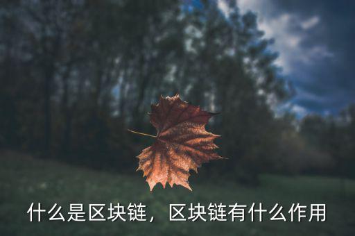 什么是區(qū)塊鏈，區(qū)塊鏈有什么作用