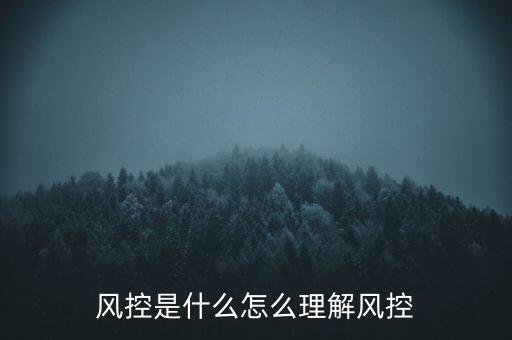 風控是什么怎么理解風控