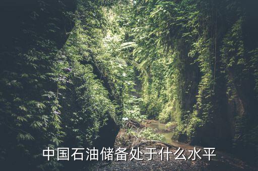 中國儲(chǔ)了多少石油,中國石油儲(chǔ)備處于什么水平