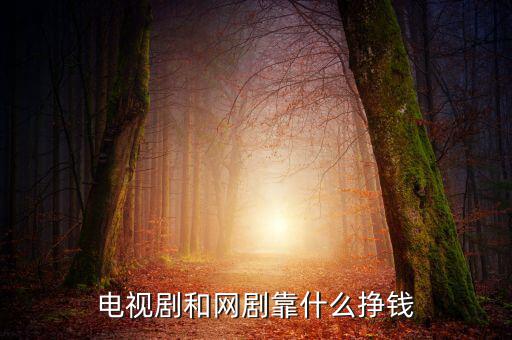 電視劇的收入靠什么,電視劇和網(wǎng)劇靠什么掙錢(qián)