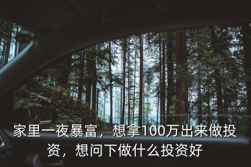 100萬可以投資做什么,想拿100萬出來做投資