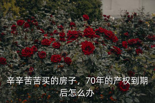 中國的房子70年后怎么辦,70年的產(chǎn)權(quán)到期后怎么辦