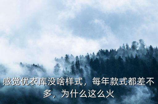 感覺優(yōu)衣庫沒啥樣式，每年款式都差不多，為什么這么火