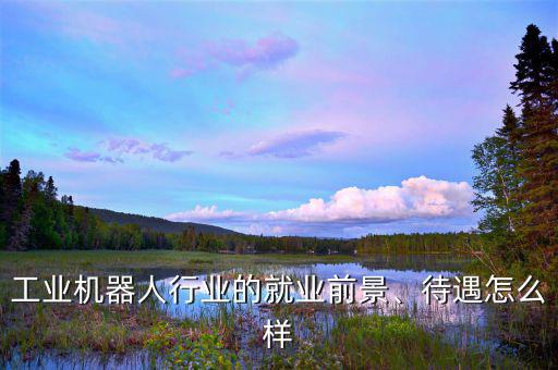 工業(yè)機器人行業(yè)的就業(yè)前景、待遇怎么樣