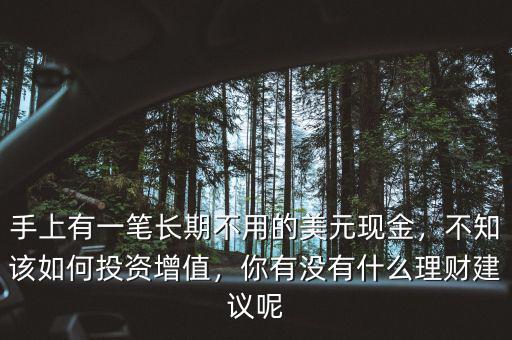 手上有一筆長期不用的美元現(xiàn)金，不知該如何投資增值，你有沒有什么理財建議呢