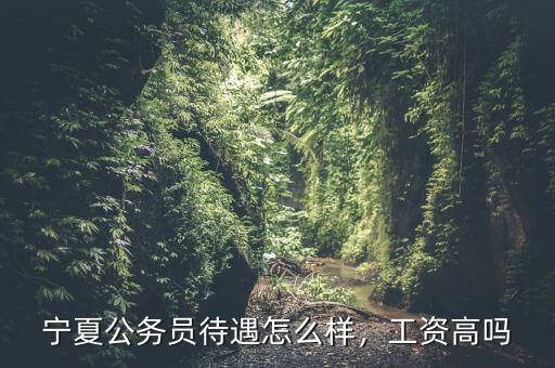 寧夏公務(wù)員待遇怎么樣，工資高嗎