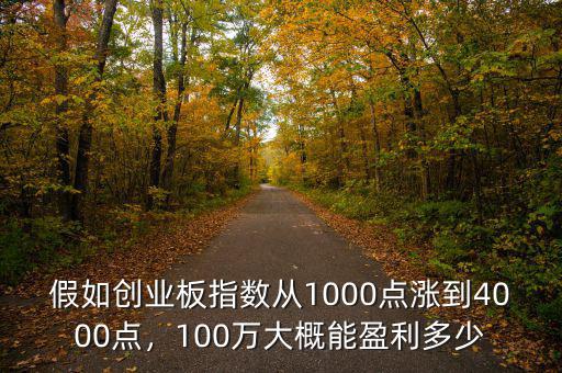 假如創(chuàng)業(yè)板指數(shù)從1000點(diǎn)漲到4000點(diǎn)，100萬(wàn)大概能盈利多少