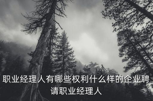 職業(yè)經(jīng)理人有哪些權(quán)利什么樣的企業(yè)聘請職業(yè)經(jīng)理人