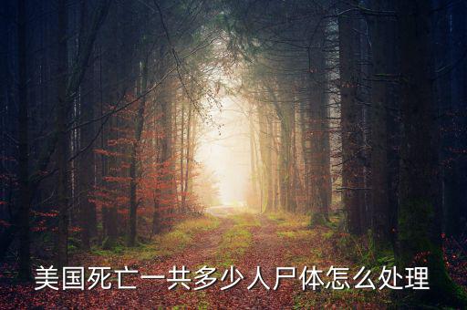 美國(guó)死亡一共多少人尸體怎么處理